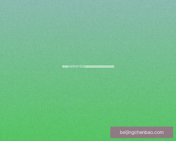 热血无赖HKSHIP.EXE全新冒险开启，挑战极限战斗与极致剧情体验