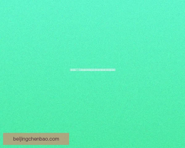 自由幻想SS技能加点攻略详解助你轻松提升角色战力与实战能力